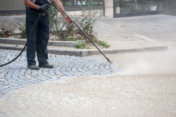 Animal Enclosure Cleaning in Blanco, TX